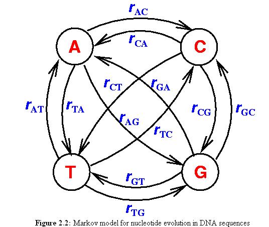 12 parameters.jpg